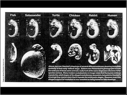 Whats Wrong With Evolution.ppt