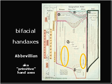 Lower Paleolithic European and African bifacial hand axes