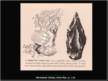 Lower Paleolithic European and African bifacial hand axes