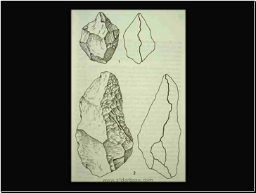 Lower Paleolithic European and African bifacial hand axes