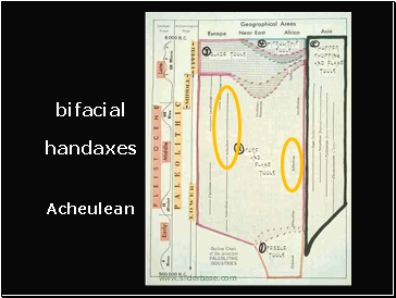 Lower Paleolithic European and African bifacial hand axes