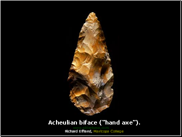 Lower Paleolithic European and African bifacial hand axes