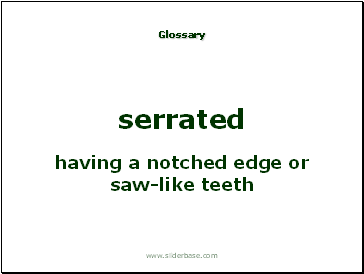 having a notched edge or saw-like teeth