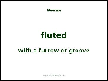 with a furrow or groove