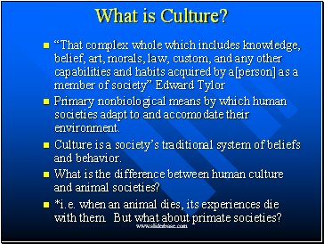 What is Culture?