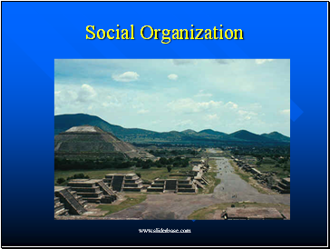 Social Organization