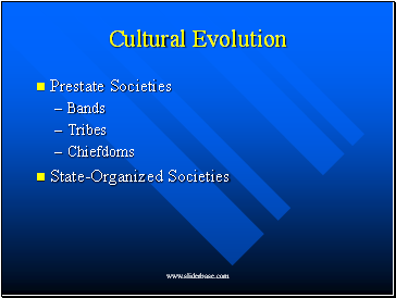 Cultural Evolution