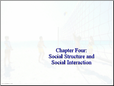 Social Structure & Social Interaction