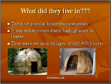 What did they live in???