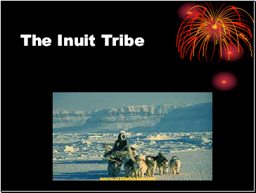 The Inuit Tribe