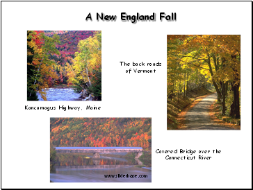 A New England Fall