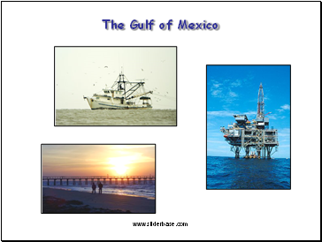 The Gulf of Mexico