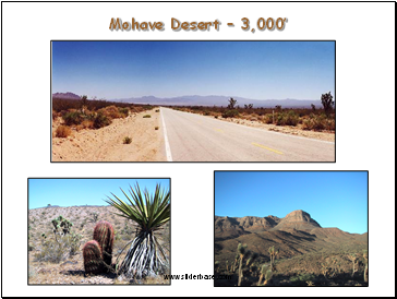Mohave Desert  3,000