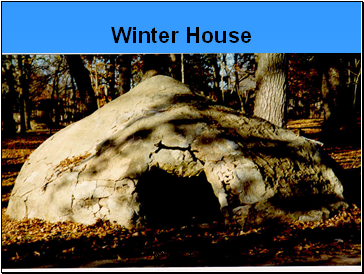 Winter House