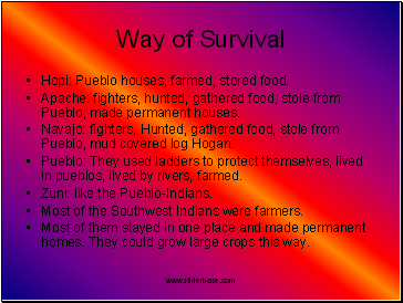 Way of Survival
