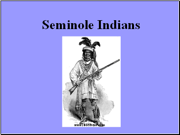 Seminole Indians