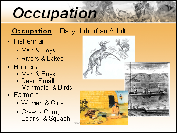 Occupation