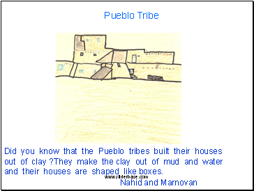 Pueblo Tribe