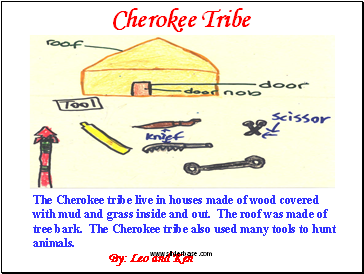 Cherokee Tribe