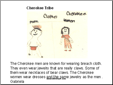 Cherokee Tribe