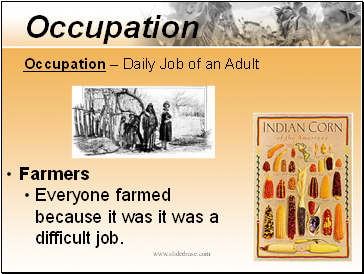 Occupation