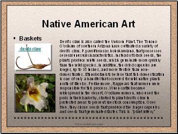 Native American Art