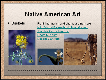 Native American Art