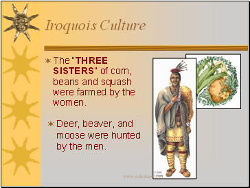 Iroquois Culture