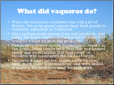 What did vaqueros do?