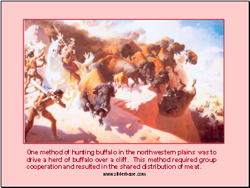 One method of hunting buffalo in the northwestern plains was to drive a herd of buffalo over a cliff. This method required group cooperation and resulted in the shared distribution of meat.