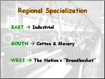 Regional Specialization