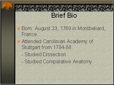 Brief Bio