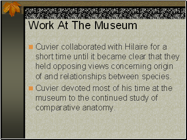 Work At The Museum