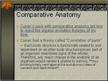 Comparative Anatomy