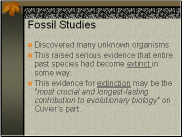 Fossil Studies