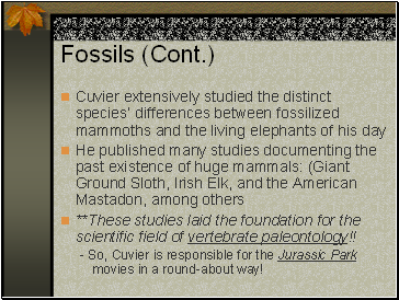Fossils (Cont.)