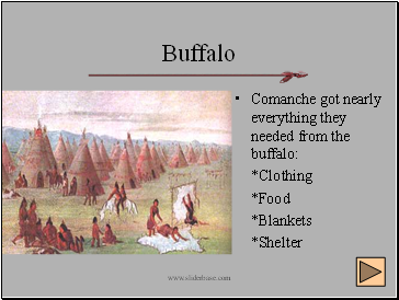 Buffalo