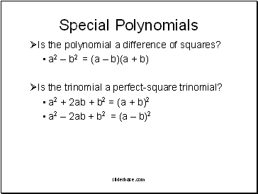 Special Polynomials