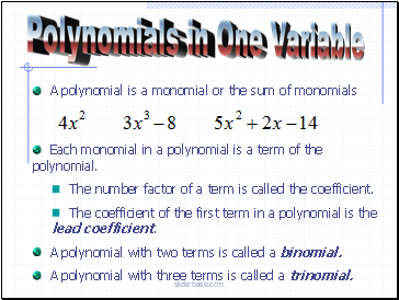 Polynomials in One Variable