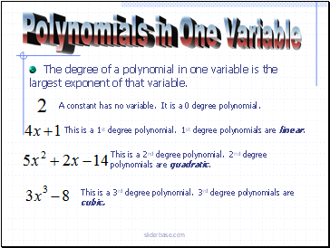 Polynomials in One Variable