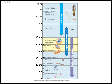 Fig. 6-2