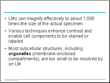 LMs can magnify effectively to about 1,000 times the size of the actual specimen