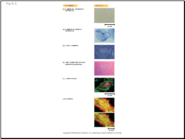 Fig. 6-3