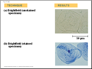 Fig. 6-3ab