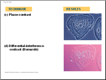 Fig. 6-3cd