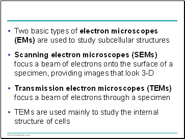 Two basic types of electron microscopes (EMs) are used to study subcellular structures