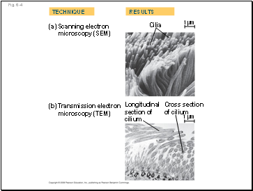 Fig. 6-4