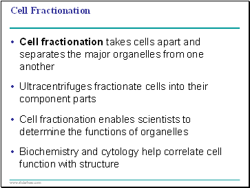 Cell Fractionation