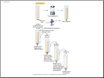 Fig. 6-5