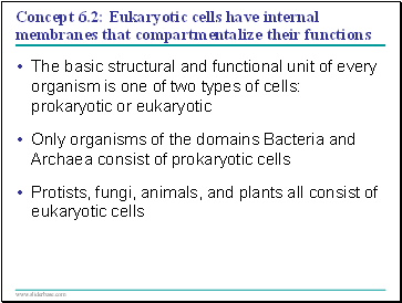 Concept 6.2: Eukaryotic cells have internal membranes that compartmentalize their functions